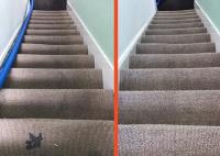 Carpet Cleaning Durham Pros image 1